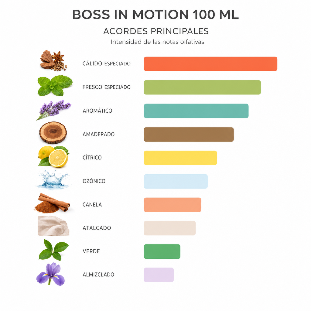 BOSS IN MOTION 100 ML - Escala de notas olfativas