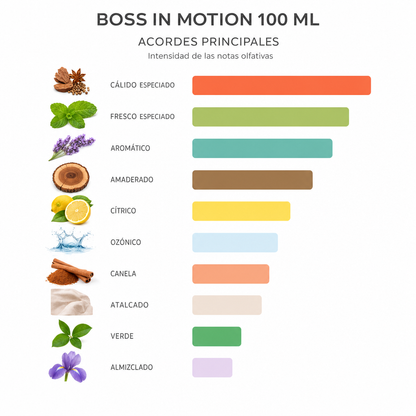BOSS IN MOTION 100 ML - Escala de notas olfativas